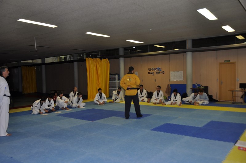 SEMINARIO POOMSAE Y FREESTYLE 2015